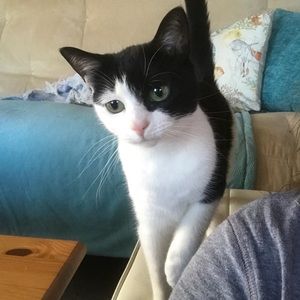 Meet your Posher, Diane